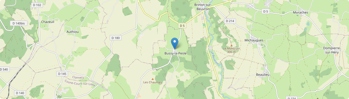 Bussy-la-Pesle - Carte