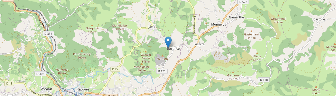 Bustince-Iriberry - Carte