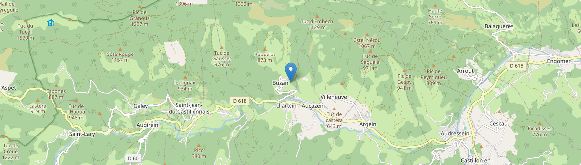 Buzan - Carte