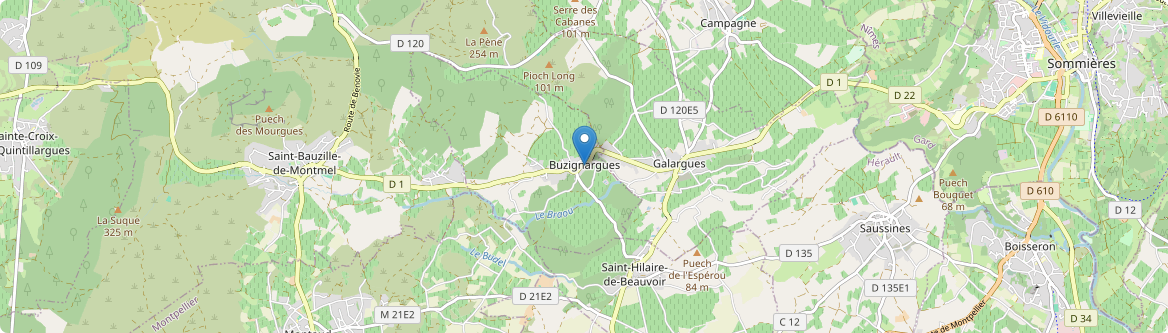 Buzignargues - Carte