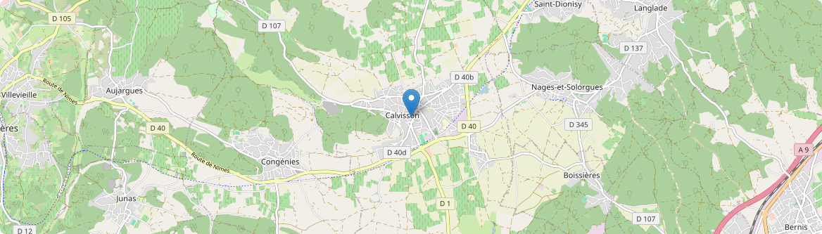 Calvisson - Carte