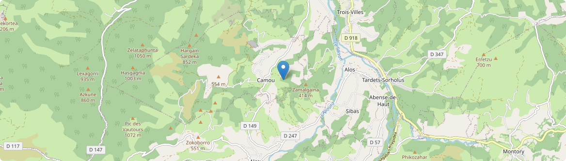 Camou-Cihigue - Carte