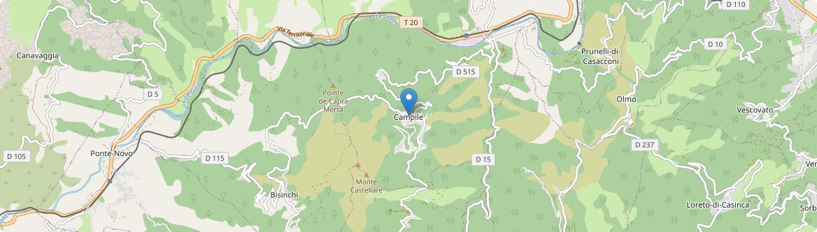 Campile - Carte