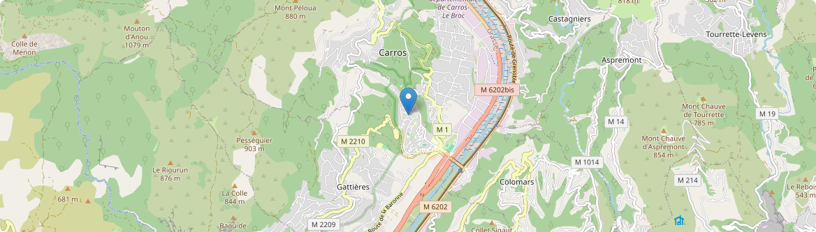 Carros - Carte