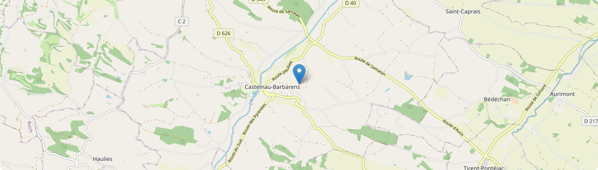 Castelnau-Barbarens - Carte
