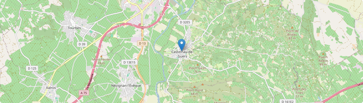 Castelnau-de-Guers - Carte