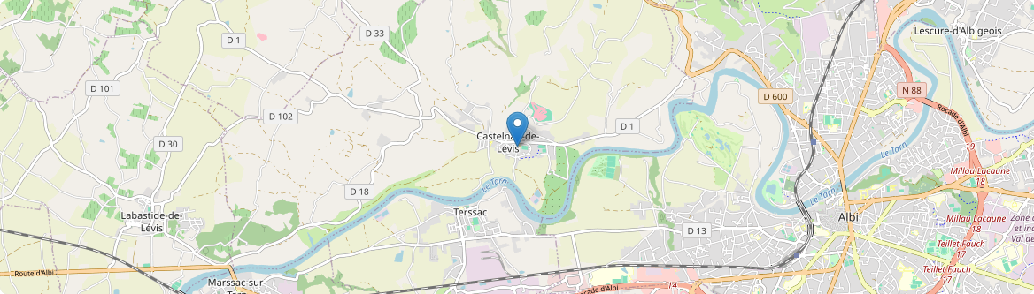 Castelnau-de-Lévis - Carte