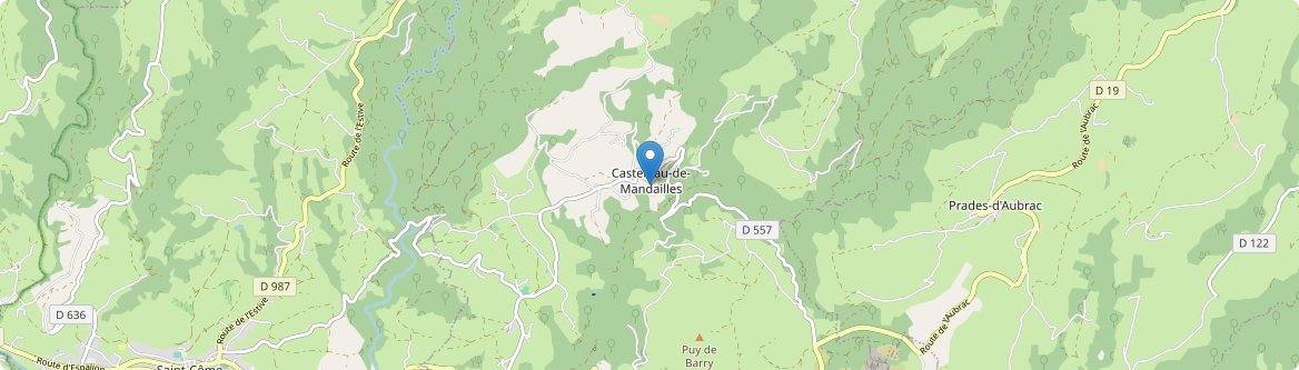 Castelnau-de-Mandailles - Carte