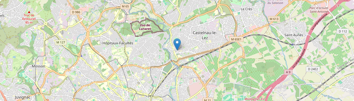 Castelnau-le-Lez - Carte