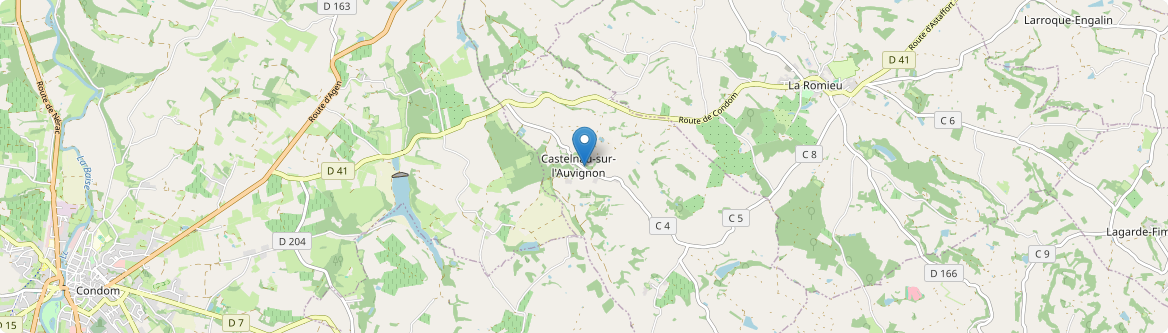 Castelnau-sur-l'Auvignon - Carte