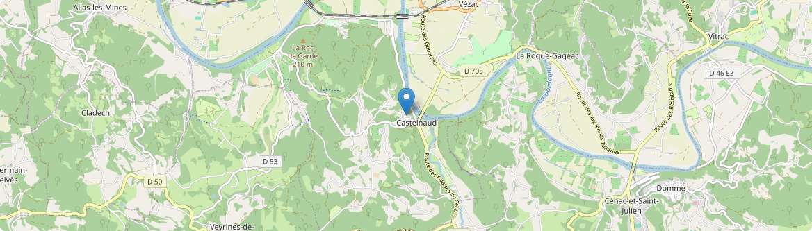 Castelnaud-la-Chapelle - Carte