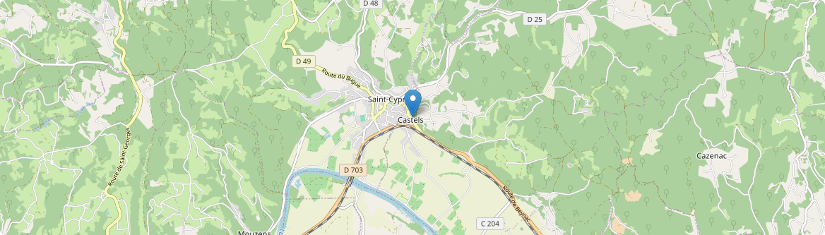 Castels et Bézenac - Carte
