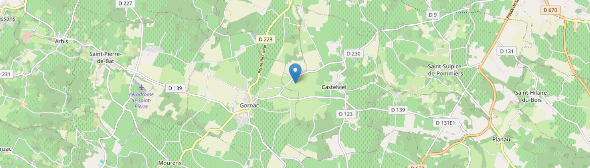 Castelviel - Carte