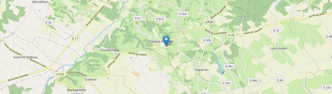 Castéra-Vignoles - Carte