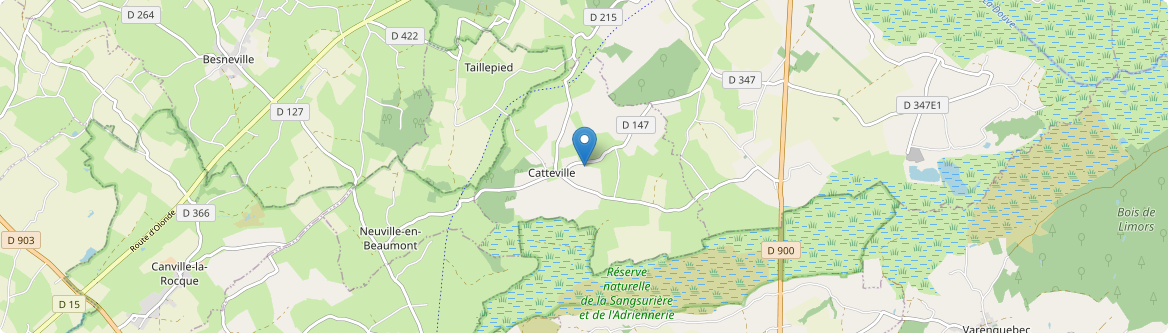 Catteville - Carte