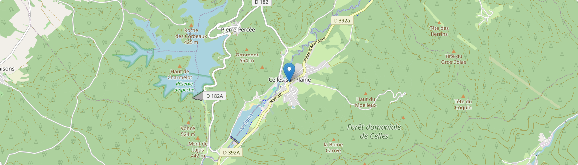 Celles-sur-Plaine - Carte