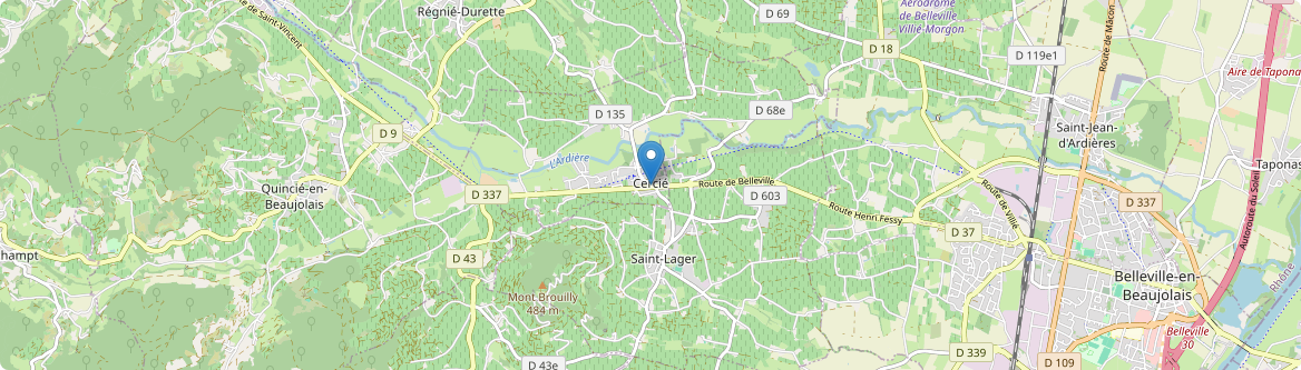 Cercié - Carte