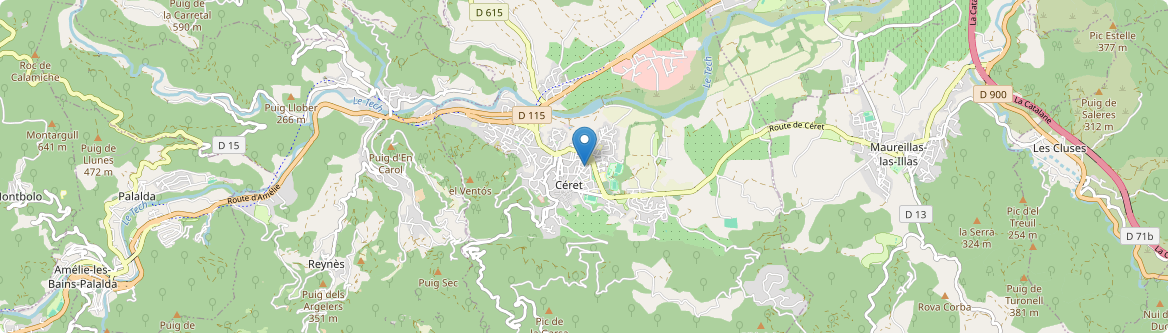Céret - Carte