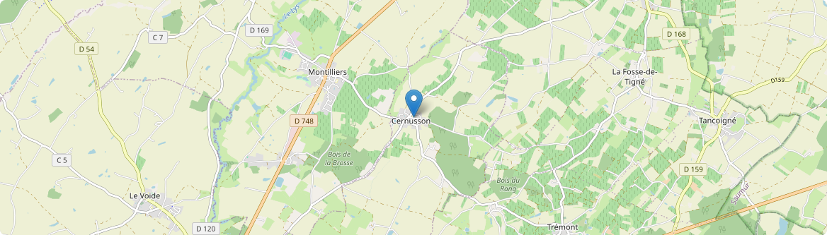 Cernusson - Carte