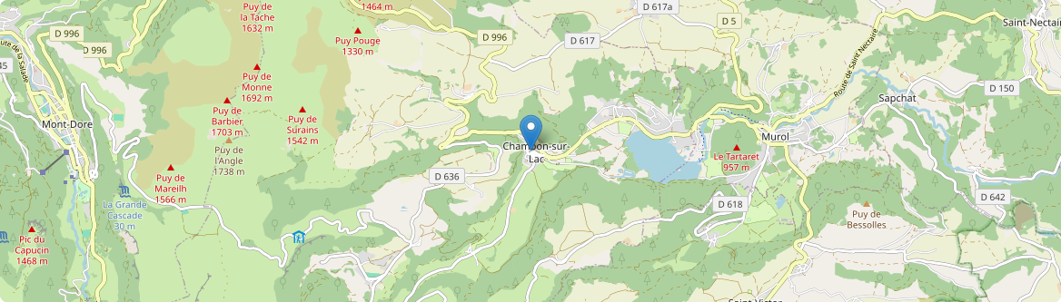Chambon-sur-Lac - Carte