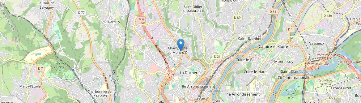 Champagne-au-Mont-d'Or - Carte