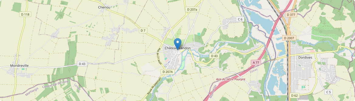 Château-Landon - Carte