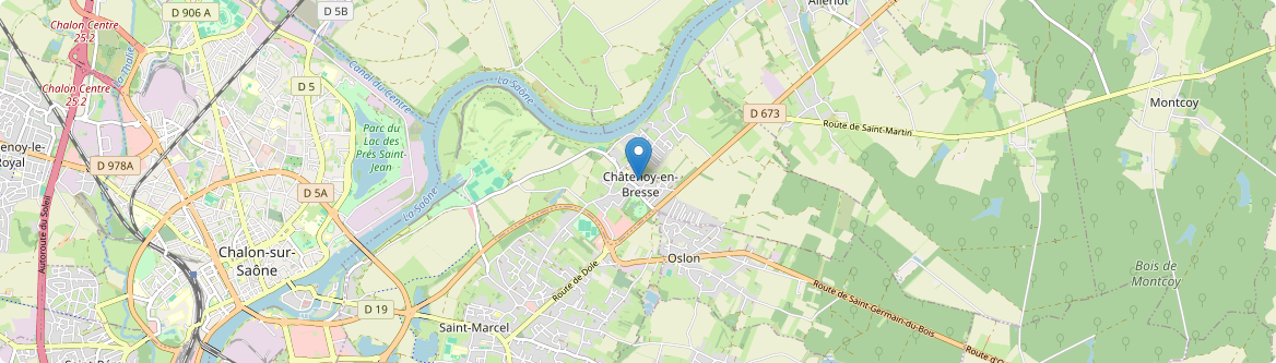 Châtenoy-en-Bresse - Carte