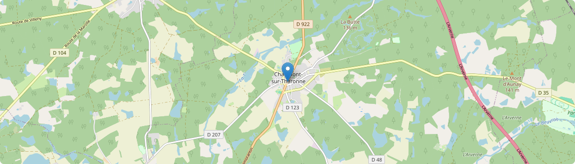 Chaumont-sur-Tharonne - Carte