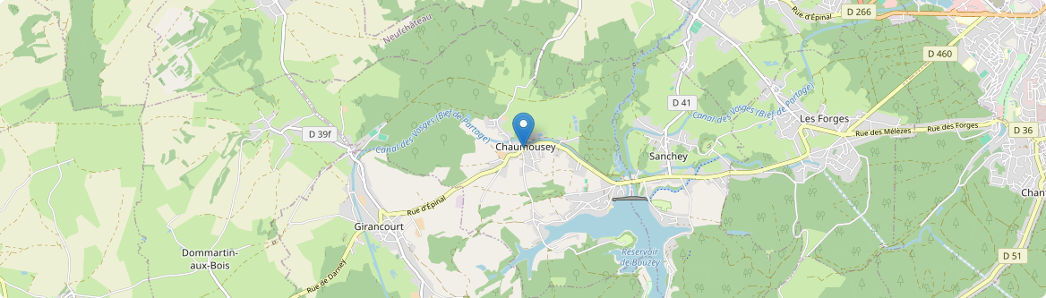 Chaumousey - Carte