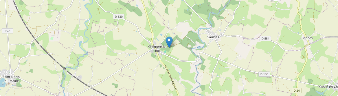 Chémeré-le-Roi - Carte