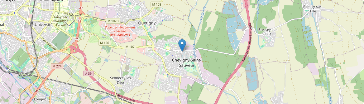 Chevigny-Saint-Sauveur - Carte
