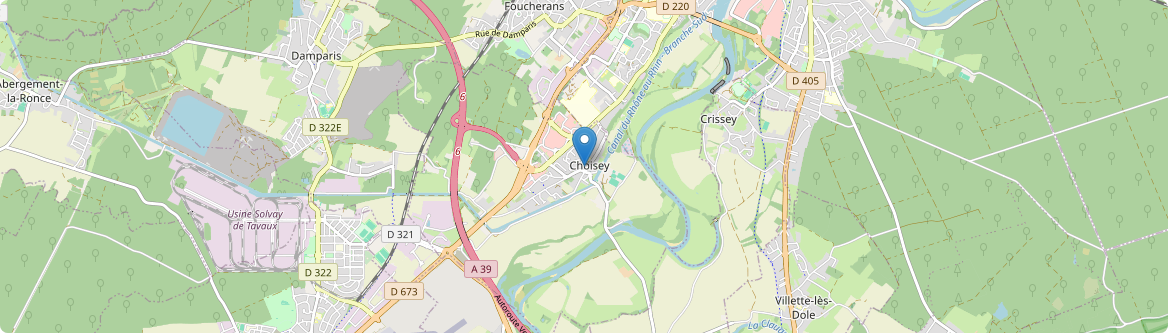 Choisey - Carte