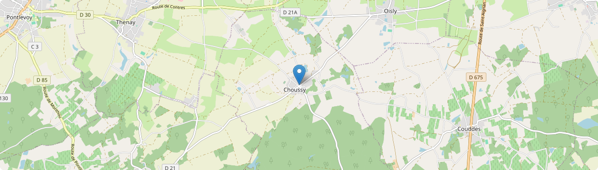 Choussy - Carte