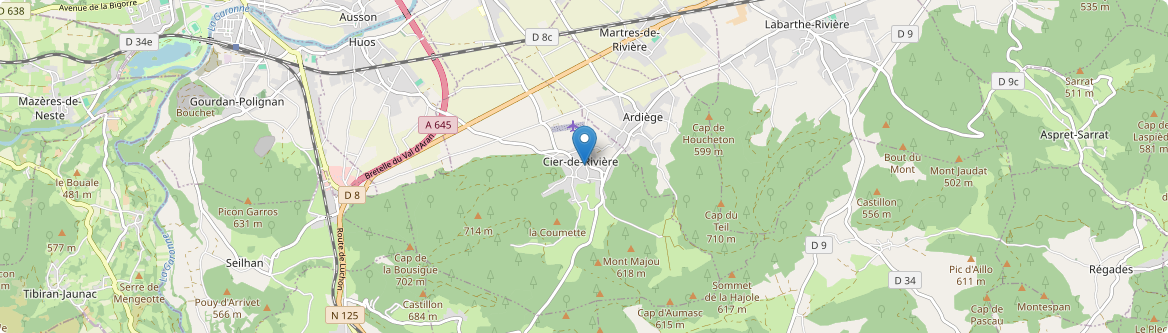 Cier-de-Rivière - Carte