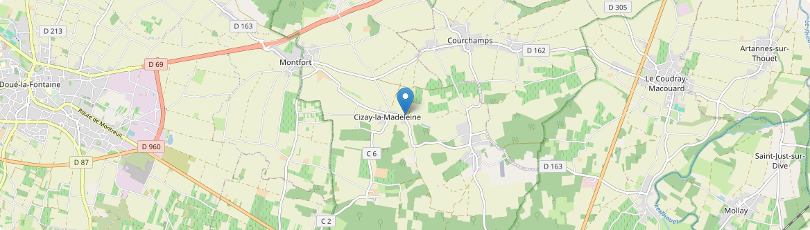 Cizay-la-Madeleine - Carte