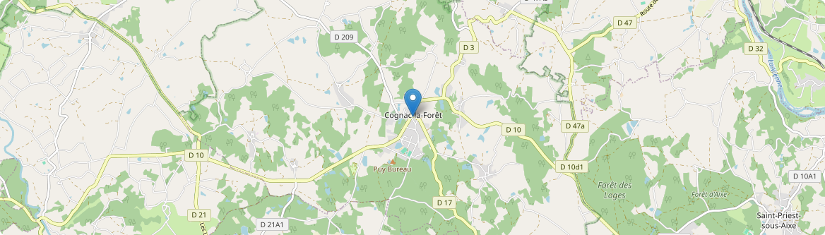 Cognac-la-Forêt - Carte