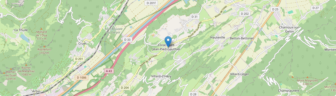 Coise-Saint-Jean-Pied-Gauthier - Carte