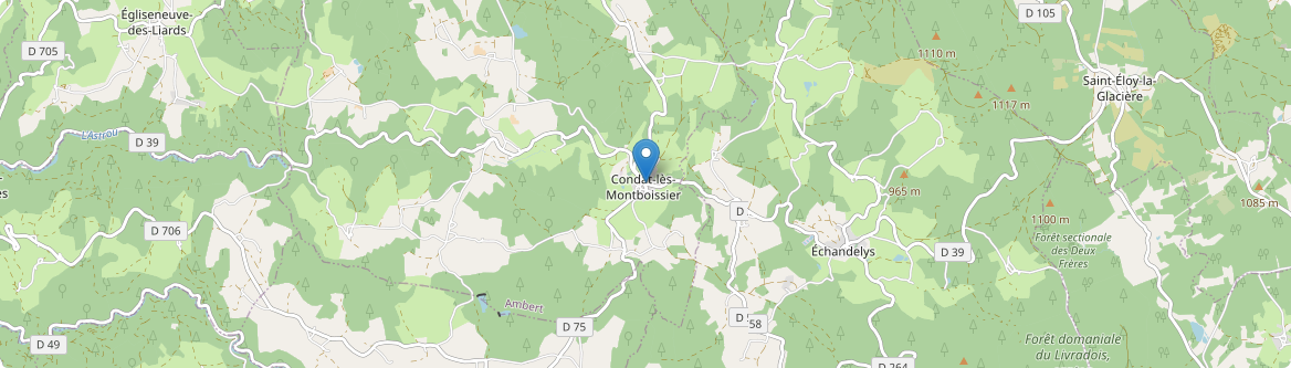 Condat-lès-Montboissier - Carte