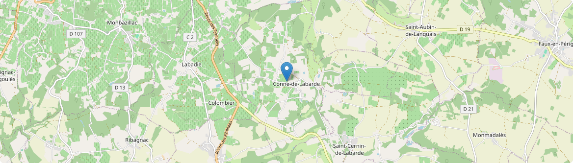 Conne-de-Labarde - Carte