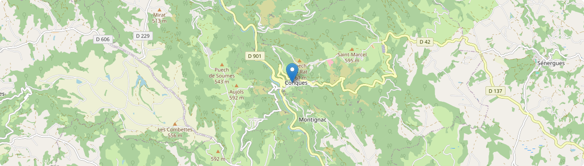 Conques-en-Rouergue - Carte