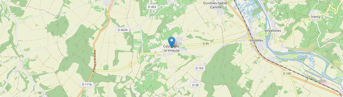 Coulanges-la-Vineuse - Carte