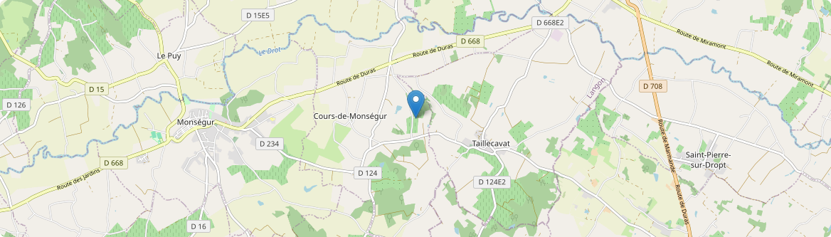 Cours-de-Monségur - Carte
