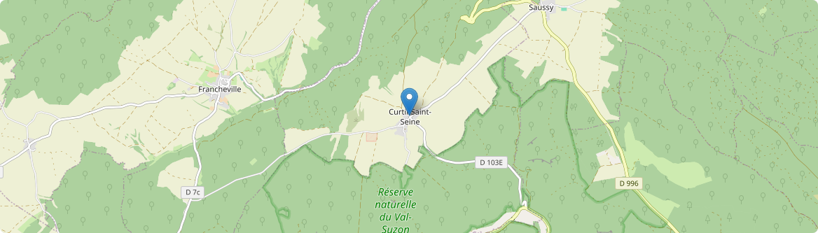 Curtil-Saint-Seine - Carte