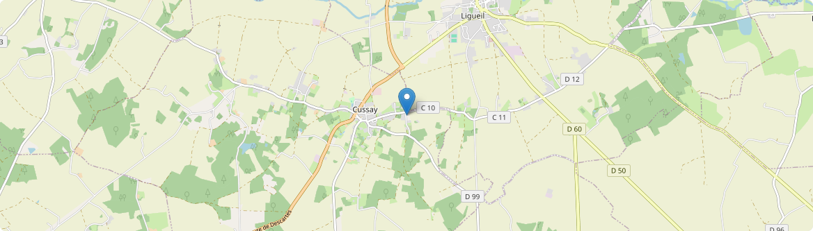 Cussay - Carte