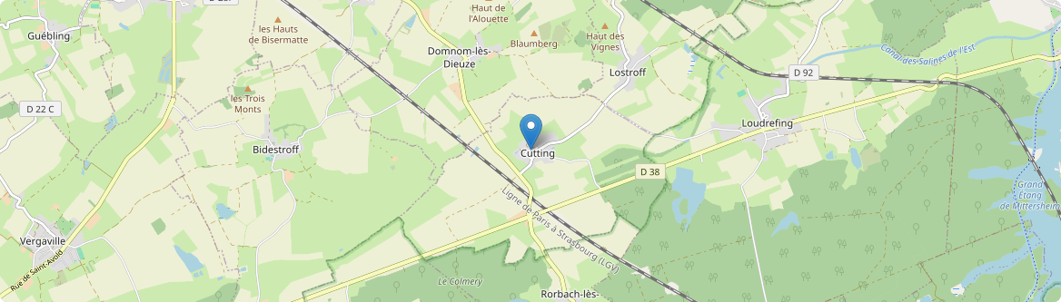 Cutting - Carte