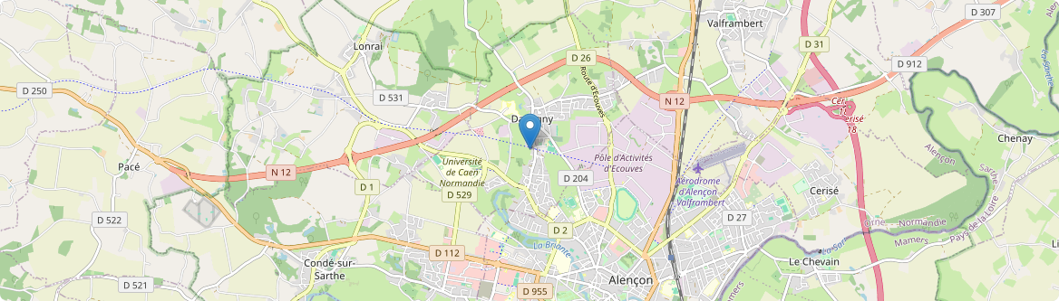 Damigny - Carte