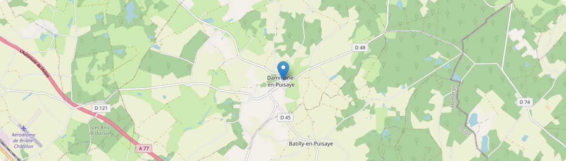 Dammarie-en-Puisaye - Carte