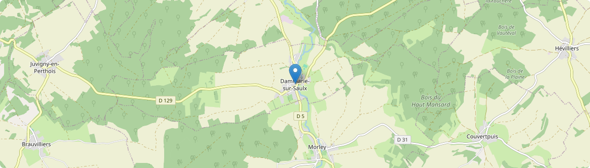 Dammarie-sur-Saulx - Carte