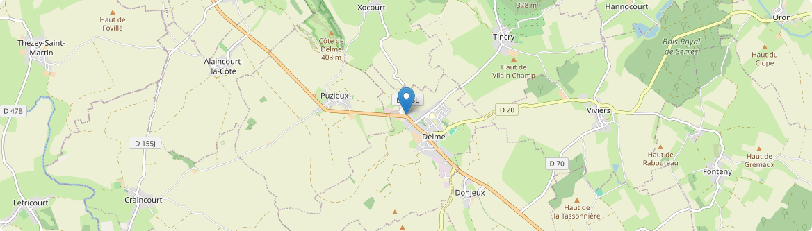 Delme - Carte