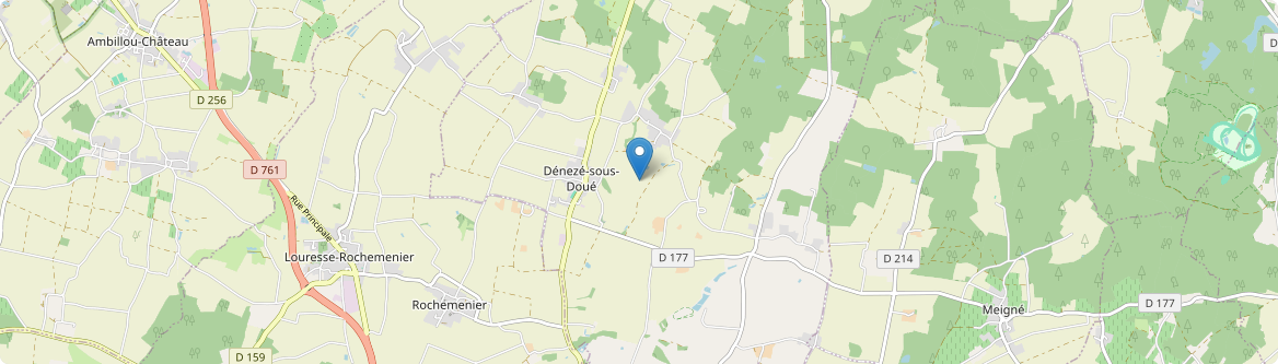 Dénezé-sous-Doué - Carte